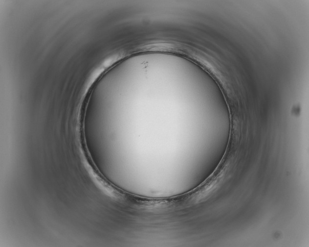 X0000096401426200802071550