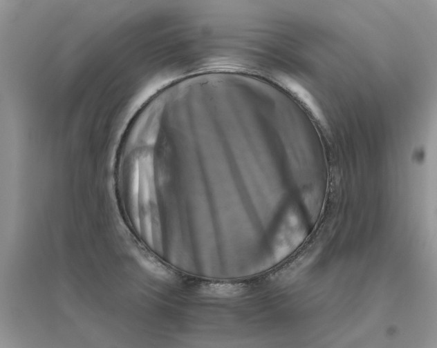 X0000096401427200802071550