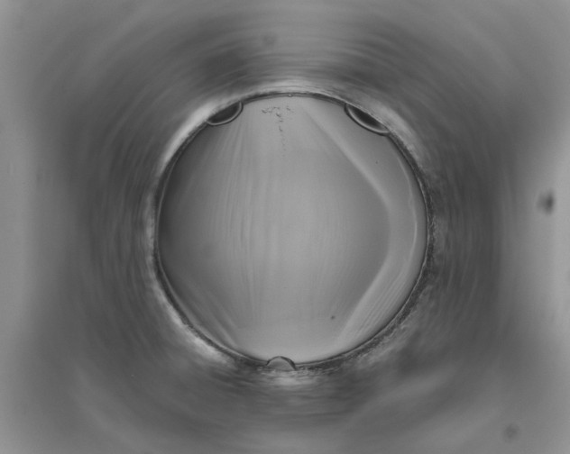 X0000096401428200802071550