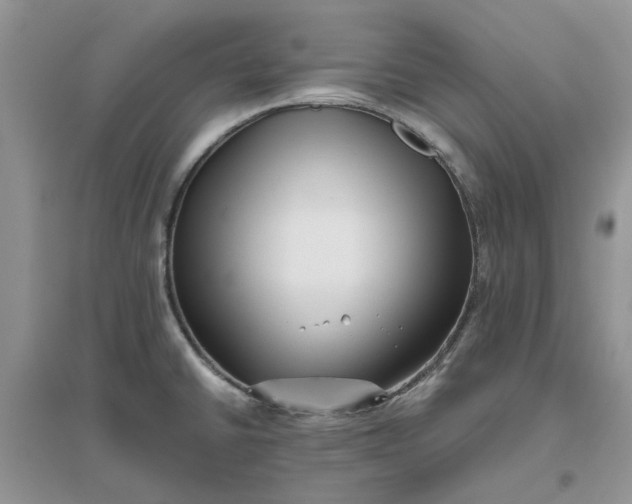 X0000096401430200802071550