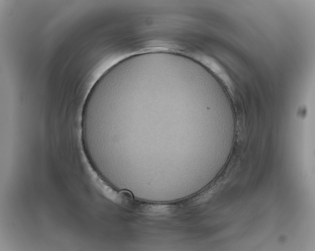 X0000096401431200802071550