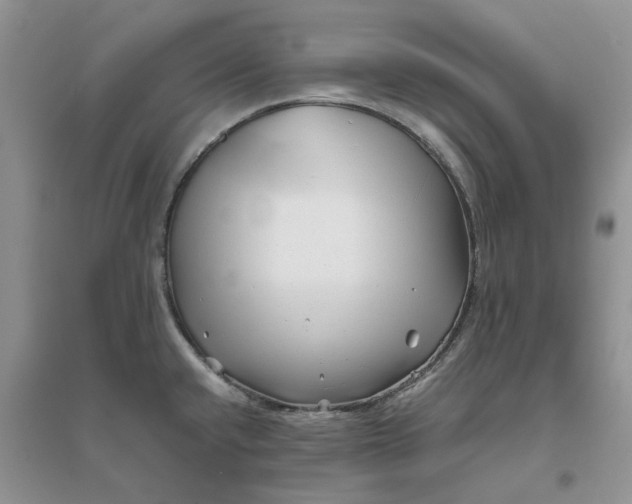 X0000096401432200802071550