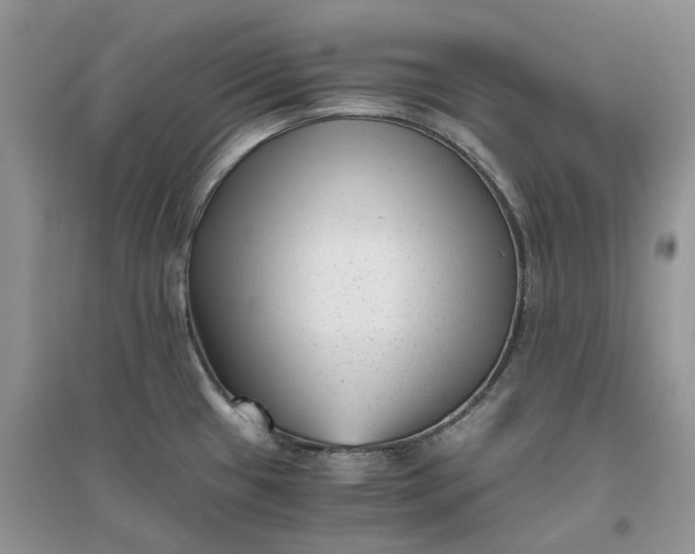 X0000096401433200802071550