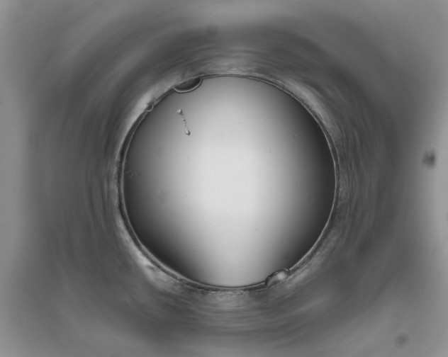 X0000096401434200802071550