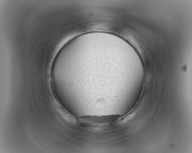 X0000096401435200802071550