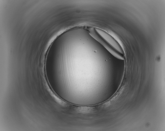 X0000096401437200802071550