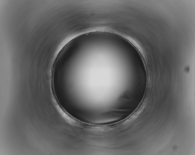 X0000096401438200802071550