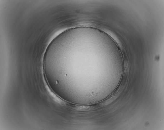 X0000096401439200802071550