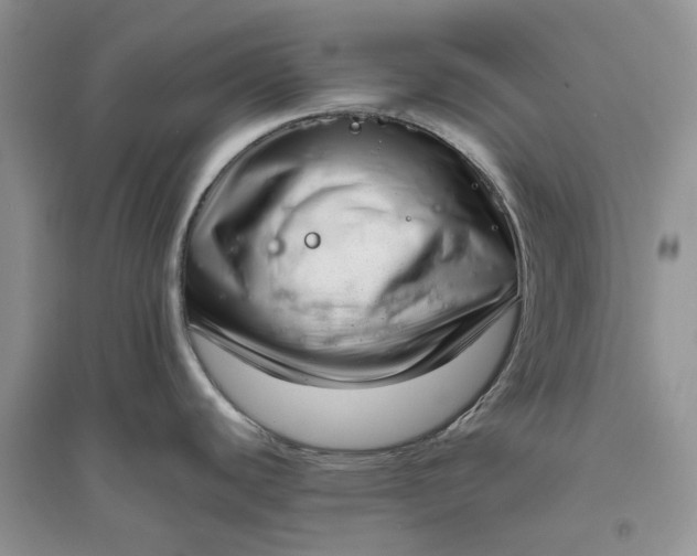 X0000096401440200802071550