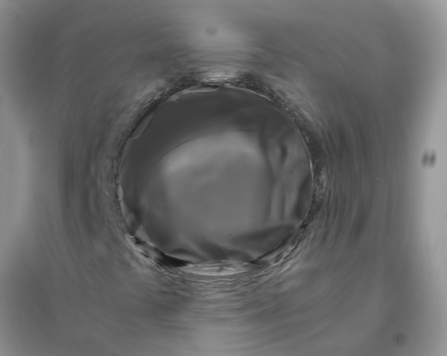 X0000096401441200802071550