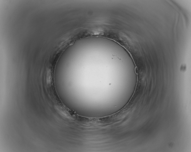 X0000096401442200802071550