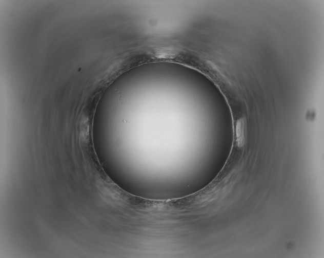 X0000096401443200802071550