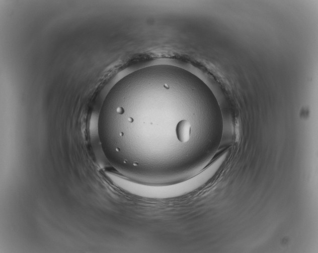 X0000096401444200802071550