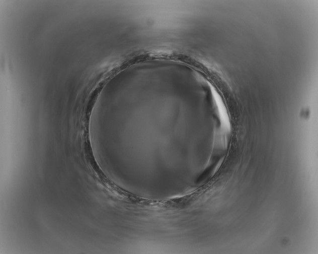 X0000096401445200802071550