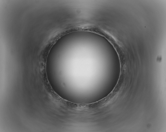 X0000096401447200802071550