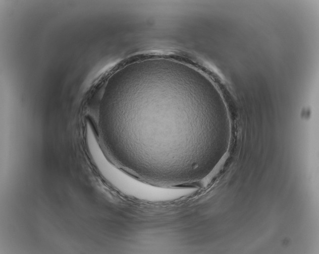 X0000096401448200802071550