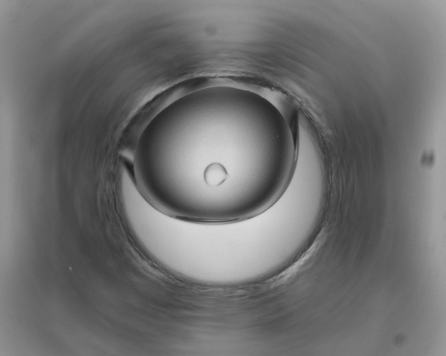 X0000096401449200802071550