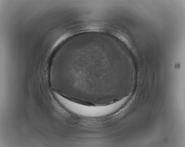 X0000096401450200802071550