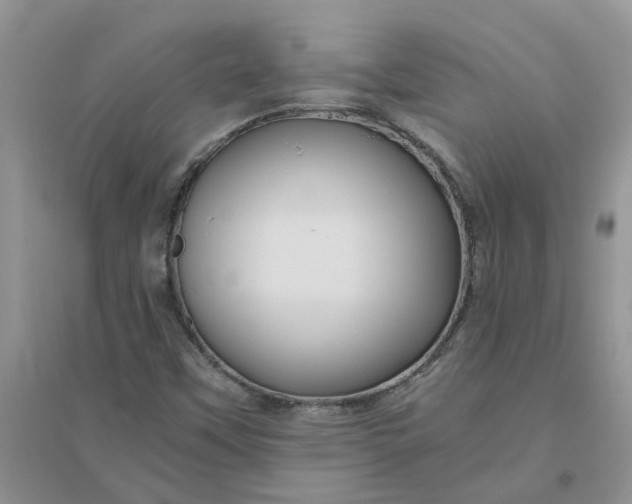 X0000096401451200802071550