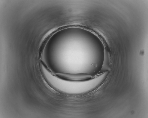 X0000096401452200802071550