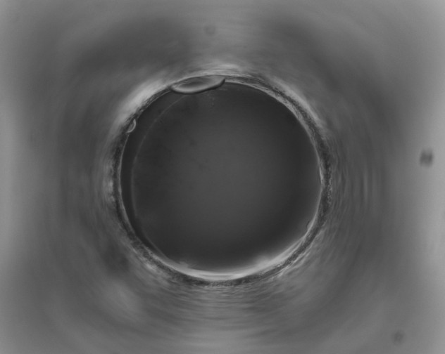 X0000096401455200802071549