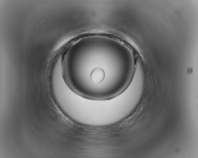 X0000096401456200802071549