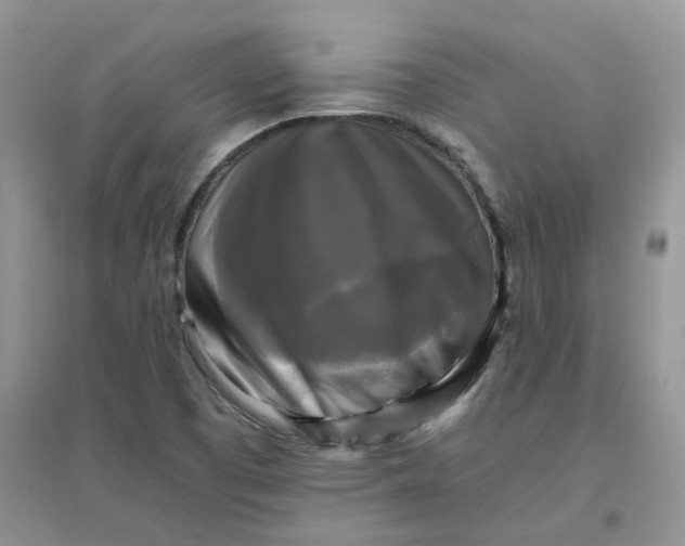 X0000096401457200802071549