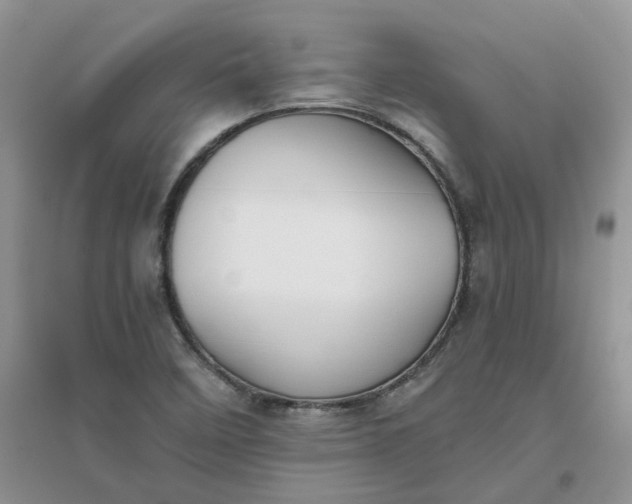 X0000096401458200802071549