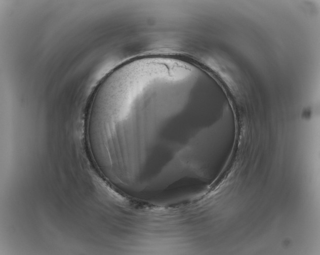 X0000096401459200802071549