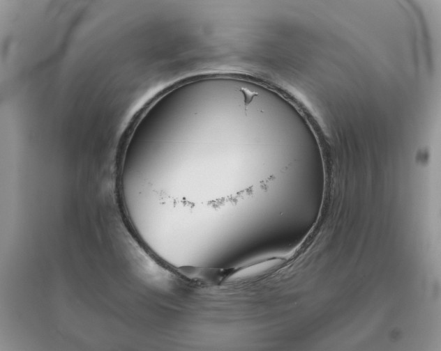 X0000096401460200802071549