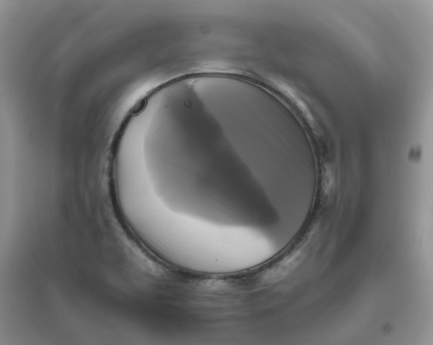 X0000096401463200802071549