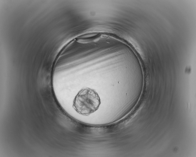 X0000096401465200802071549