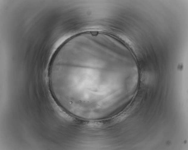 X0000096401466200802071549