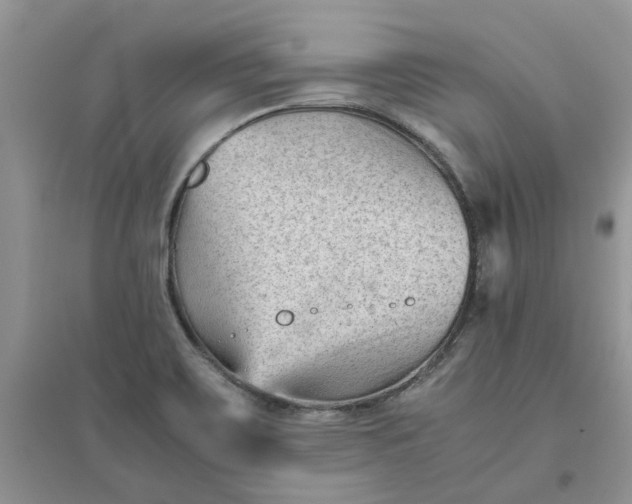 X0000096401467200802071549