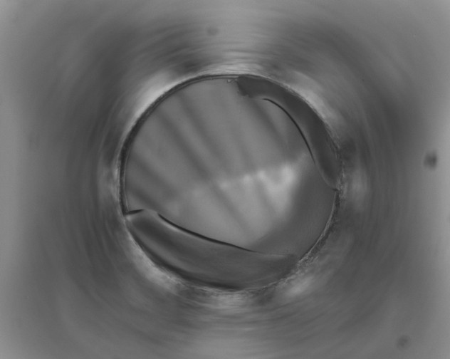 X0000096401468200802071549