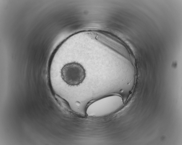 X0000096401469200802071549