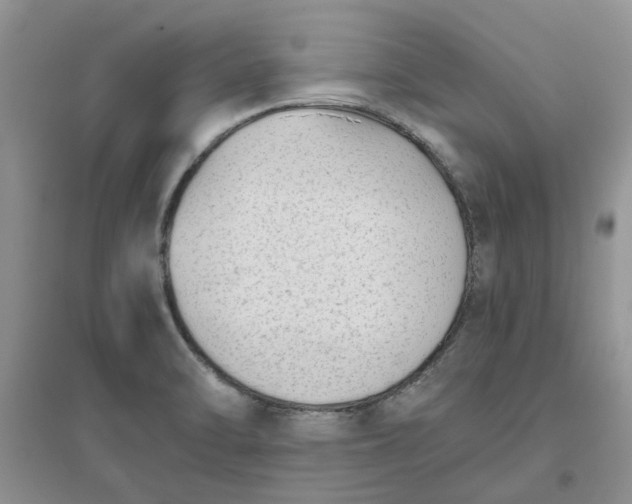 X0000096401470200802071549