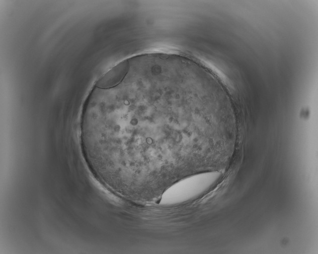 X0000096401471200802071549