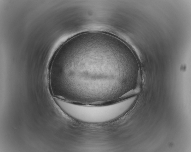 X0000096401472200802071549