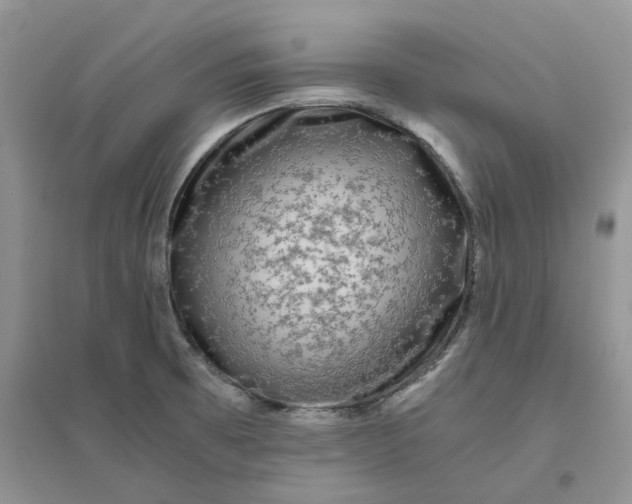 X0000096401473200802071549