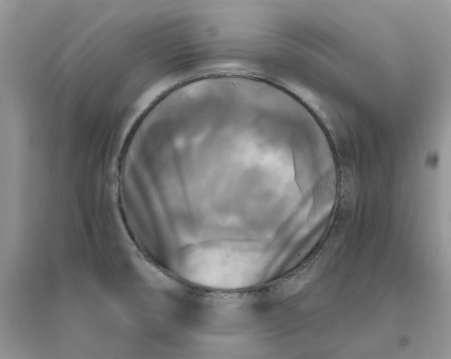 X0000096401474200802071549