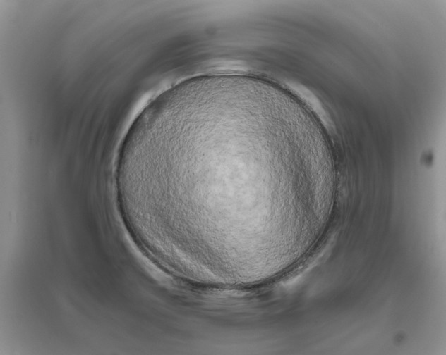 X0000096401475200802071549