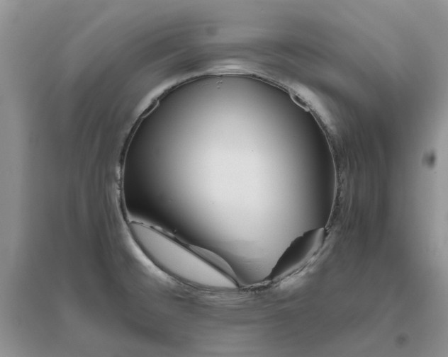 X0000096401476200802071549