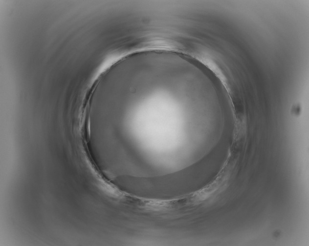 X0000096401477200802071549