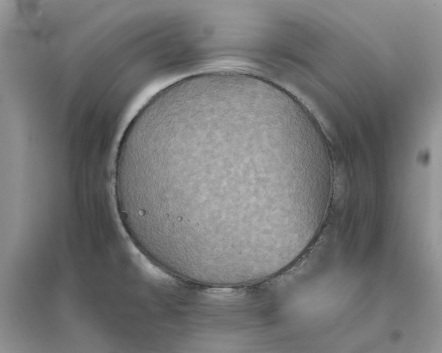 X0000096401478200802071549