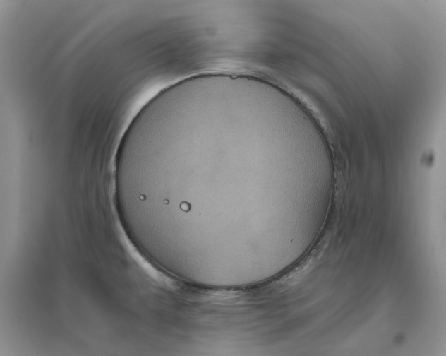 X0000096401479200802071549