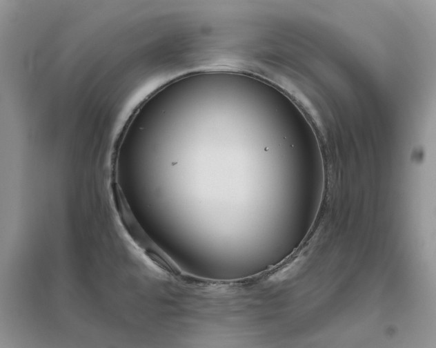 X0000096401480200802071549