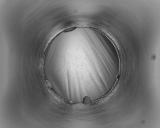 X0000096401481200802071549