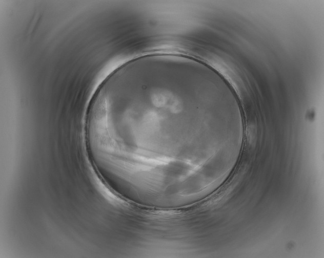 X0000096401482200802071549