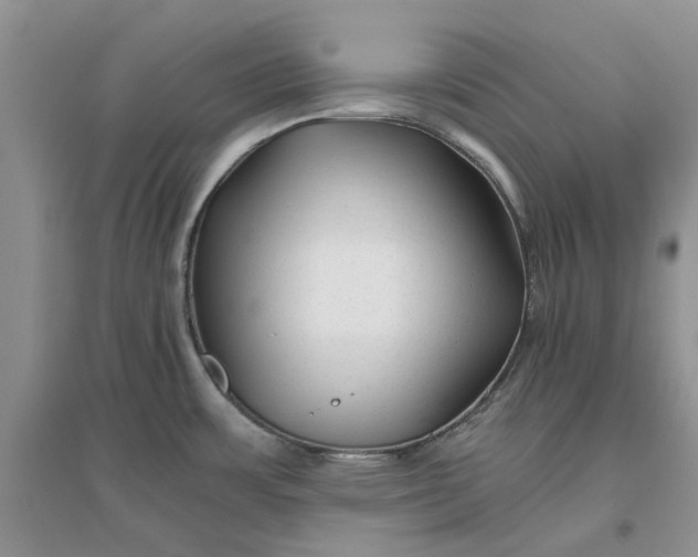 X0000096401483200802071549